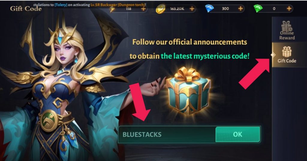 Step 3 redeeming Dungeon Hunter 6 gift codes. Inserting the codes into the type bar. 